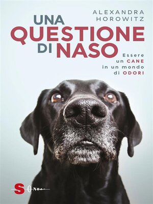 cover image of Questione di naso